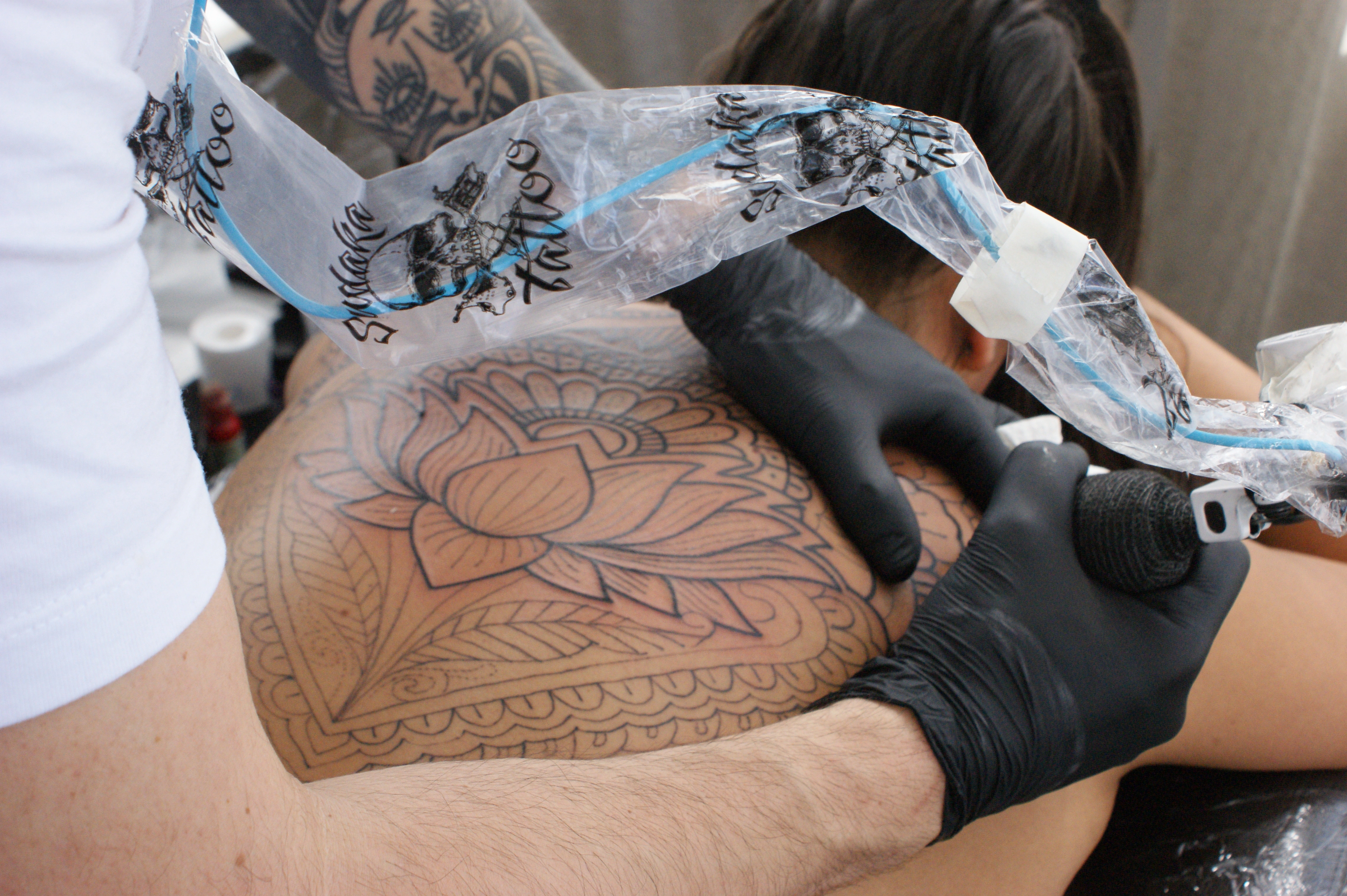 Aplicación de Stencil